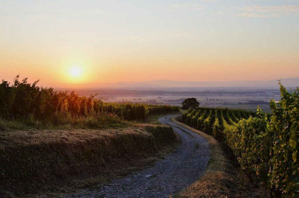 Sentiers de randonnée en Alsace